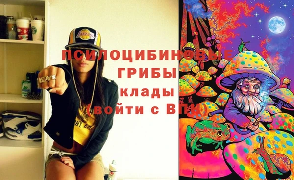 гидропоника Верхний Тагил