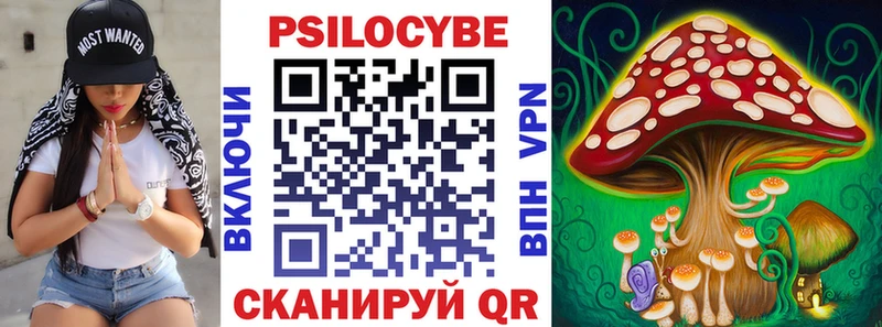 Галлюциногенные грибы Psilocybe  Мончегорск 
