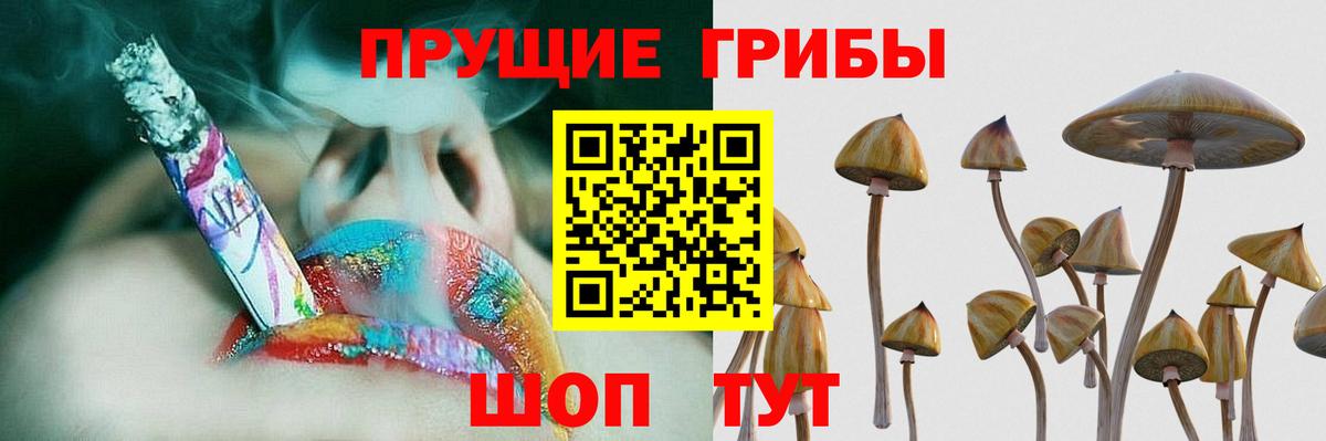 Галлюциногенные грибы Psilocybe  Псилоцибиновые грибы Psilocybe  Мончегорск  Вход с VPN 